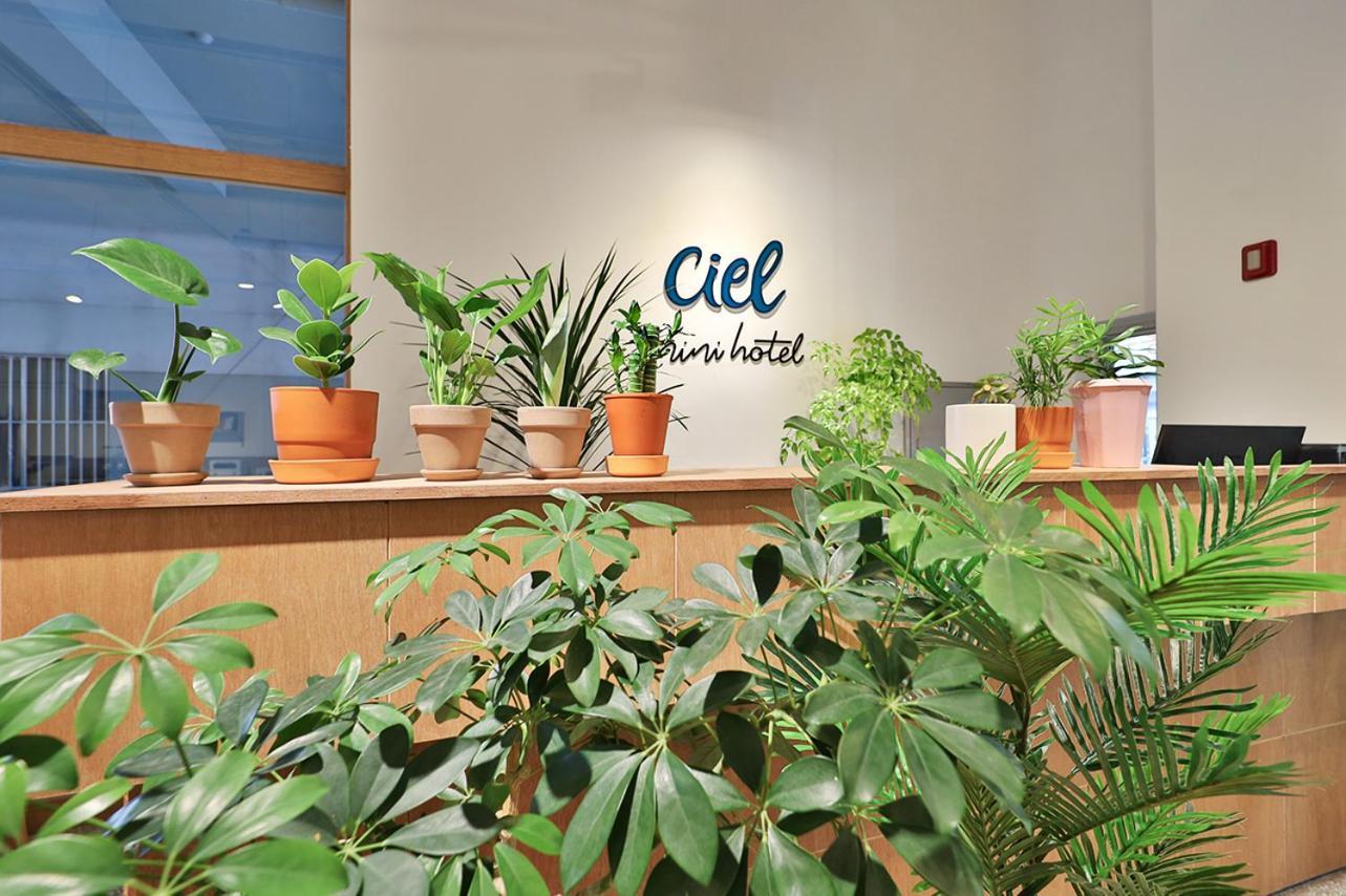 Ciel Mini Hotel 경주 외부 사진